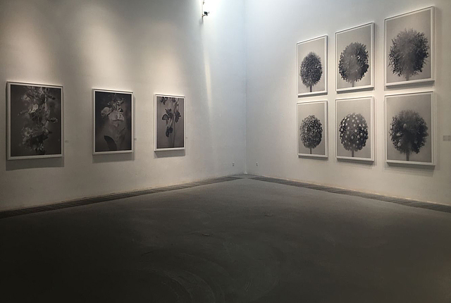 邬树楠个展—呼吸